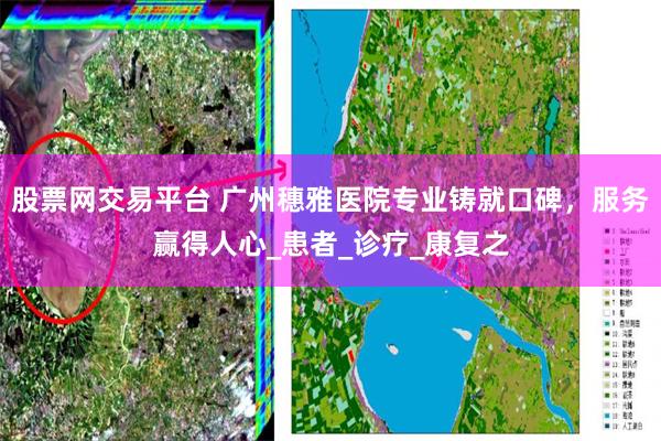股票网交易平台 广州穗雅医院专业铸就口碑，服务赢得人心_患者_诊疗_康复之
