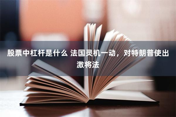 股票中杠杆是什么 法国灵机一动，对特朗普使出激将法