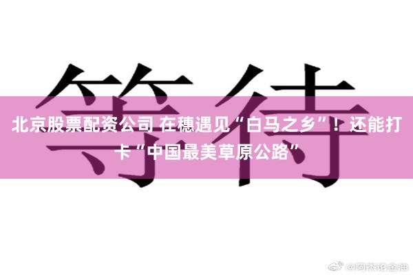 北京股票配资公司 在穗遇见“白马之乡”！还能打卡“中国最美草原公路”