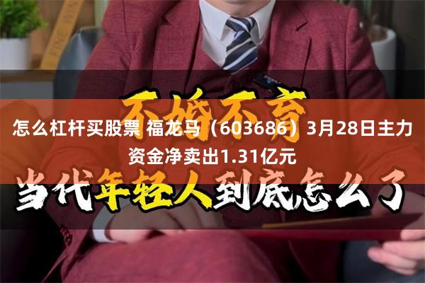 怎么杠杆买股票 福龙马（603686）3月28日主力资金净卖出1.31亿元