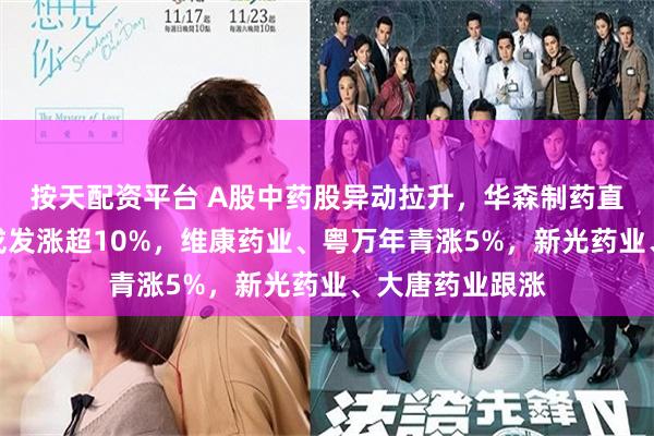 按天配资平台 A股中药股异动拉升，华森制药直线涨停，陇神戎发涨超10%，维康药业、粤万年青涨5%，新光药业、大唐药业跟涨