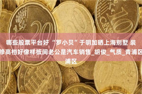 哪些股票平台好 “罗小贝”于明加晒上海别墅 装修高档好像样板间老公是汽车销售_胡俊_气质_青浦区