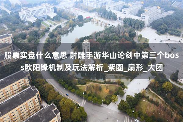 股票实盘什么意思 射雕手游华山论剑中第三个boss欧阳锋机制及玩法解析_紫圈_扇形_大团