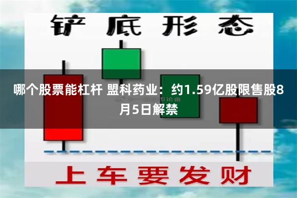 哪个股票能杠杆 盟科药业：约1.59亿股限售股8月5日解禁