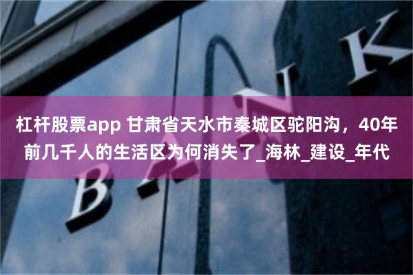 杠杆股票app 甘肃省天水市秦城区驼阳沟，40年前几千人的生活区为何消失了_海林_建设_年代