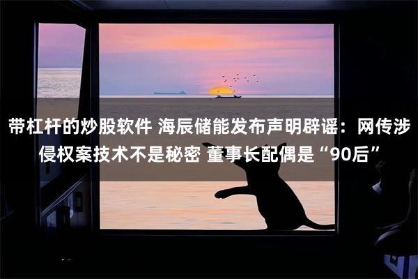 带杠杆的炒股软件 海辰储能发布声明辟谣：网传涉侵权案技术不是秘密 董事长配偶是“90后”