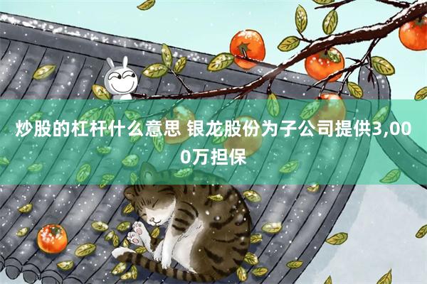 炒股的杠杆什么意思 银龙股份为子公司提供3,000万担保