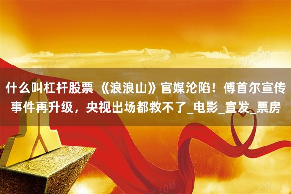 什么叫杠杆股票 《浪浪山》官媒沦陷！傅首尔宣传事件再升级，央视出场都救不了_电影_宣发_票房