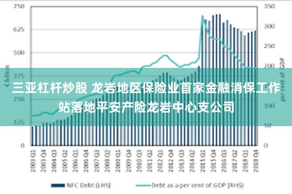 三亚杠杆炒股 龙岩地区保险业首家金融消保工作站落地平安产险龙岩中心支公司