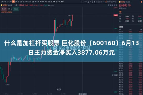 什么是加杠杆买股票 巨化股份（600160）6月13日主力资金净买入3877.06万元