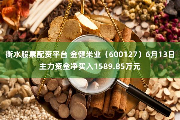 衡水股票配资平台 金健米业（600127）6月13日主力资金净买入1589.85万元