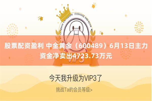 股票配资盈利 中金黄金（600489）6月13日主力资金净卖出4723.73万元