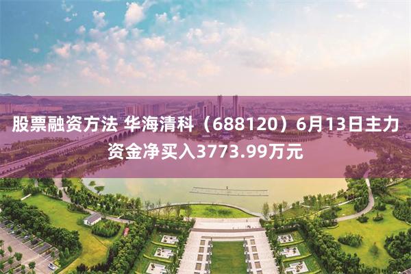 股票融资方法 华海清科(688120)6月13日主力资金净买入3773.99万元