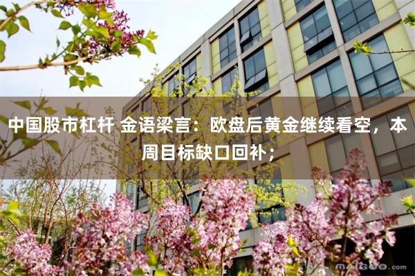 中国股市杠杆 金语梁言：欧盘后黄金继续看空，本周目标缺口回补；