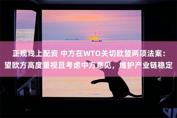 正规线上配资 中方在WTO关切欧盟两项法案：望欧方高度重视且考虑中方意见，维护产业链稳定