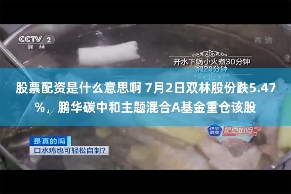 股票配资是什么意思啊 7月2日双林股份跌5.47%，鹏华碳中和主题混合A基金重仓该股
