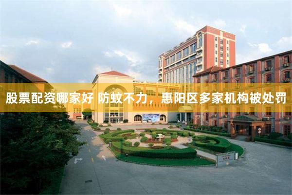 股票配资哪家好 防蚊不力，惠阳区多家机构被处罚