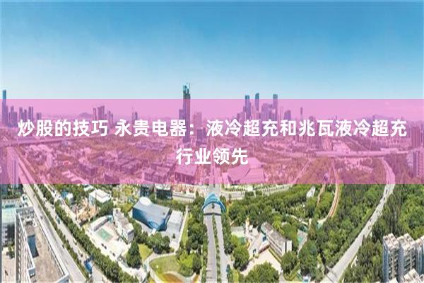 炒股的技巧 永贵电器：液冷超充和兆瓦液冷超充行业领先