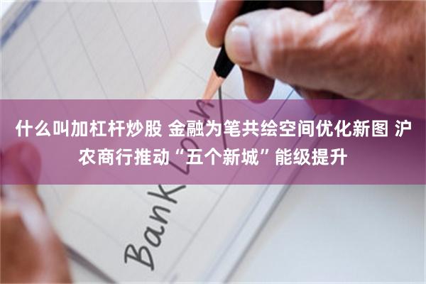 什么叫加杠杆炒股 金融为笔共绘空间优化新图 沪农商行推动“五个新城”能级提升