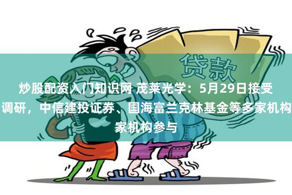 炒股配资入门知识网 茂莱光学：5月29日接受机构调研，中信建投证券、国海富兰克林基金等多家机构参与