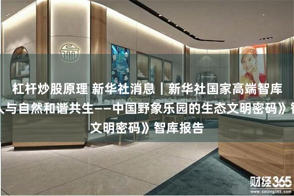 杠杆炒股原理 新华社消息｜新华社国家高端智库发布《人与自然和谐共生——中国野象乐园的生态文明密码》智库报告