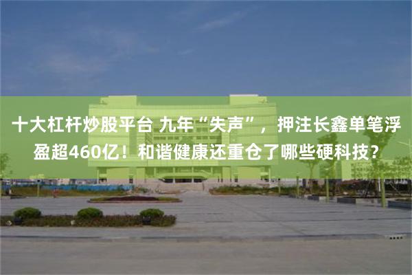 十大杠杆炒股平台 九年“失声”，押注长鑫单笔浮盈超460亿！和谐健康还重仓了哪些硬科技？