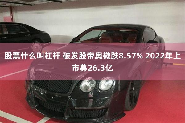 股票什么叫杠杆 破发股帝奥微跌8.57% 2022年上市募26.3亿