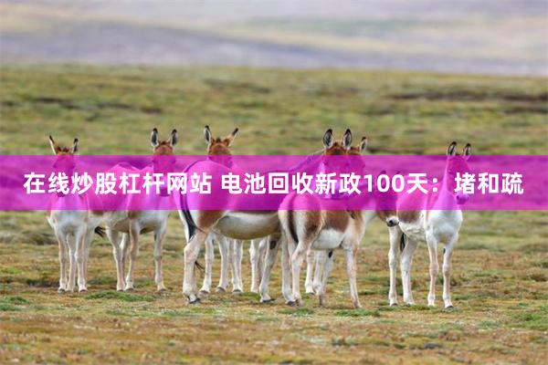 在线炒股杠杆网站 电池回收新政100天：堵和疏