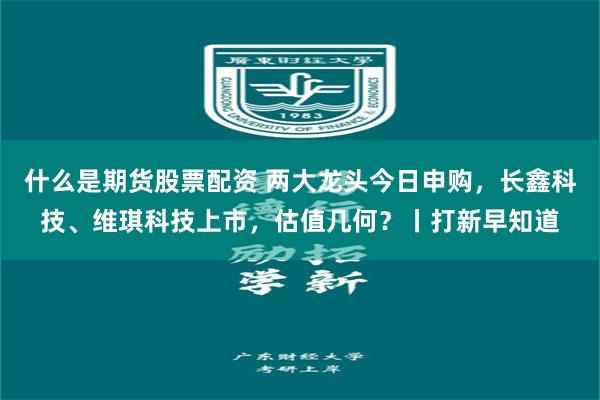 什么是期货股票配资 两大龙头今日申购，长鑫科技、维琪科技上市，估值几何？丨打新早知道