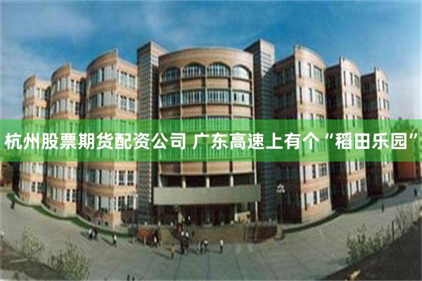 杭州股票期货配资公司 广东高速上有个“稻田乐园”