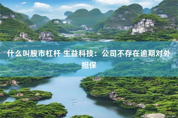 什么叫股市杠杆 生益科技：公司不存在逾期对外担保