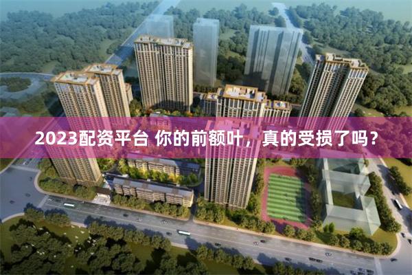 2023配资平台 你的前额叶，真的受损了吗？