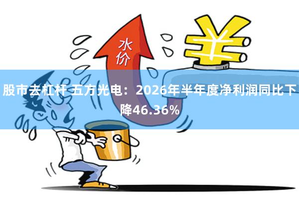 股市去杠杆 五方光电：2026年半年度净利润同比下降46.36%