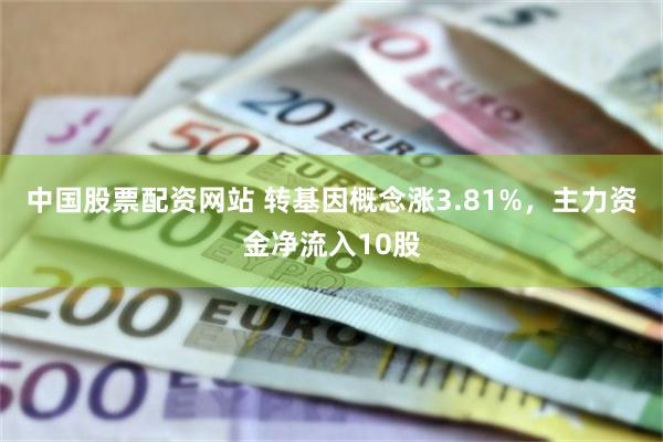 中国股票配资网站 转基因概念涨3.81%，主力资金净流入10股
