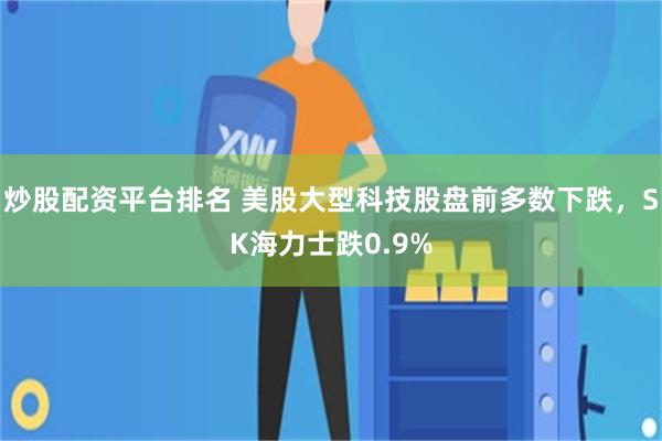 炒股配资平台排名 美股大型科技股盘前多数下跌，SK海力士跌0.9%