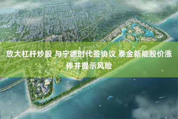 放大杠杆炒股 与宁德时代签协议 泰金新能股价涨停并提示风险
