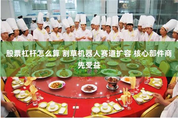 股票杠杆怎么算 割草机器人赛道扩容 核心部件商先受益