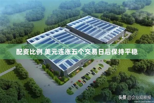 配资比例 美元连涨五个交易日后保持平稳