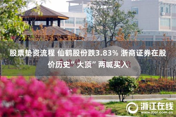 股票垫资流程 仙鹤股份跌3.83% 浙商证券在股价历史”大顶”两喊买入