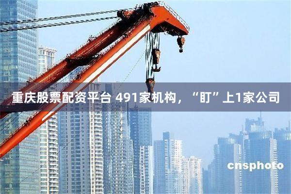 重庆股票配资平台 491家机构，“盯”上1家公司