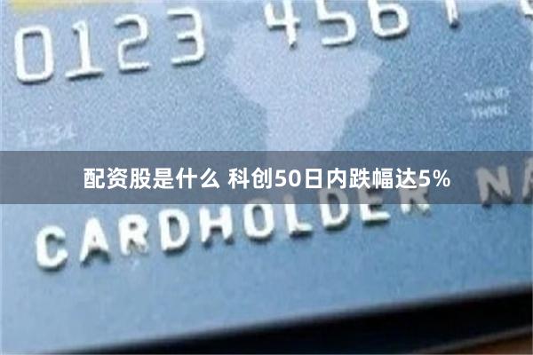 配资股是什么 科创50日内跌幅达5%