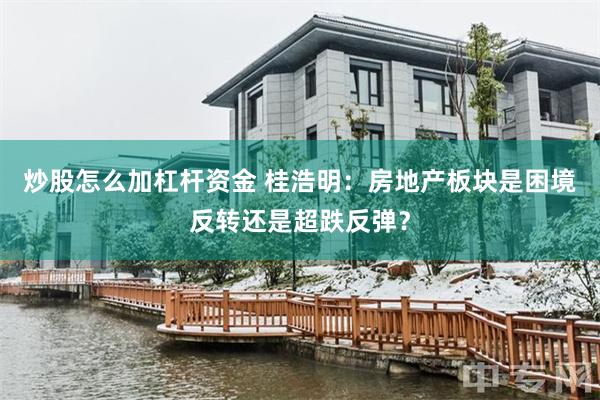 炒股怎么加杠杆资金 桂浩明：房地产板块是困境反转还是超跌反弹？