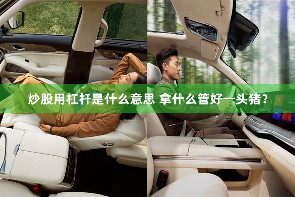 炒股用杠杆是什么意思 拿什么管好一头猪？