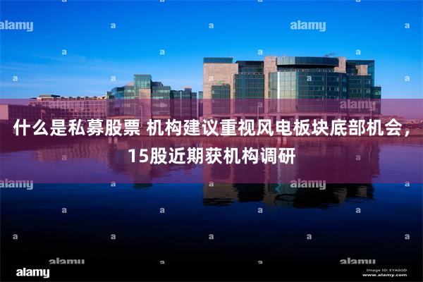 什么是私募股票 机构建议重视风电板块底部机会，15股近期获机构调研