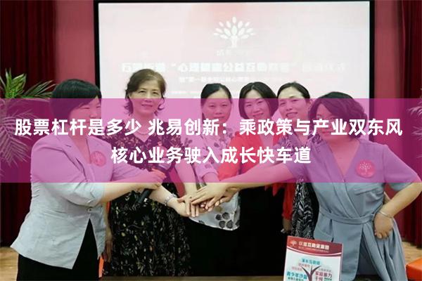 股票杠杆是多少 兆易创新：乘政策与产业双东风 核心业务驶入成长快车道